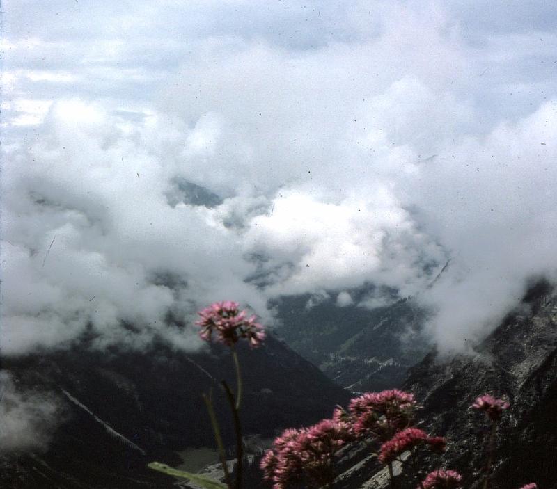 EPSON027.JPG - EPSON MFP image